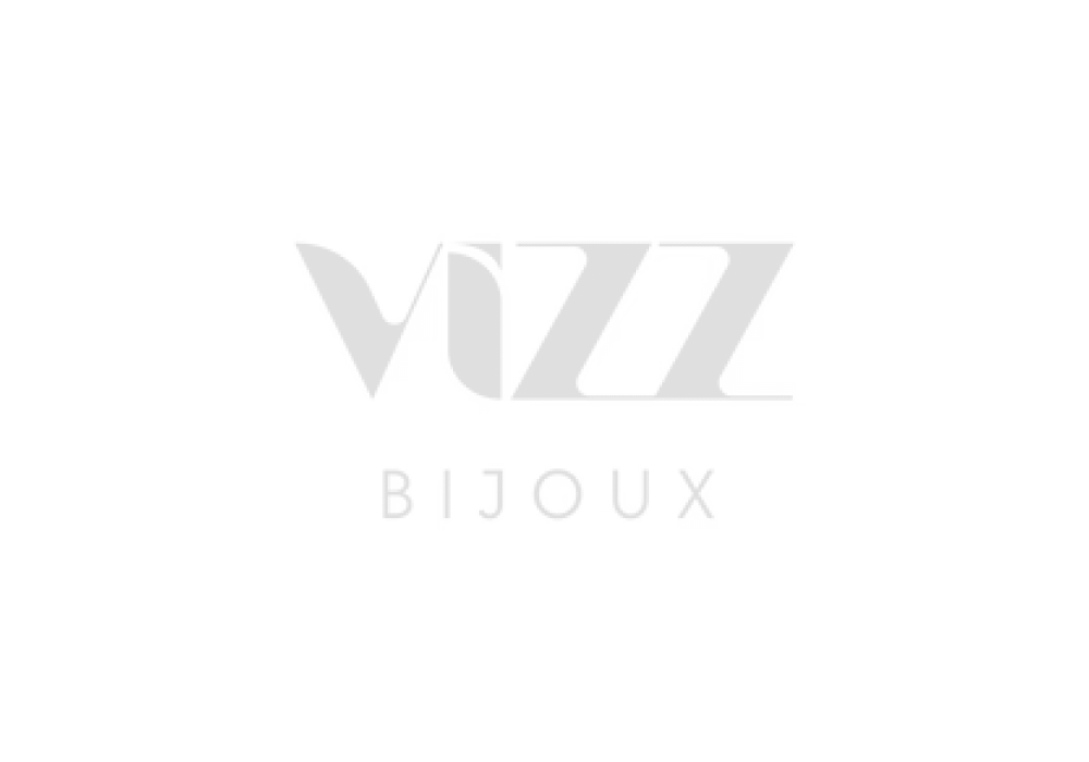Vizz-bijoux-logo-blanc